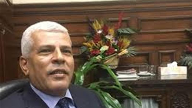 الدكتور سيد خليفة