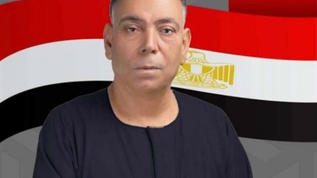 النائب  حشمت أبو حجر