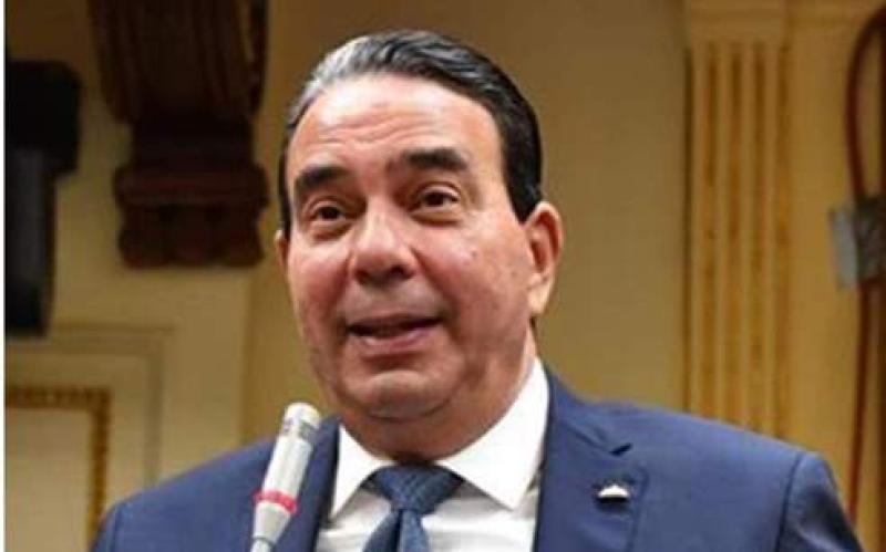 الدكتور أيمن أبو العلا، وكيل لجنة حقوق الإنسان بمجلس النواب