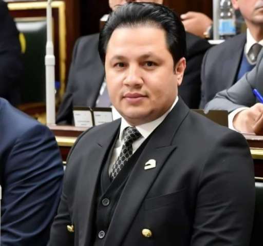 النائب سيد حسين