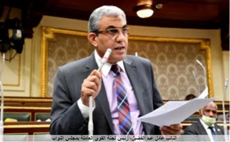 النائب عادل عبد الفضيل