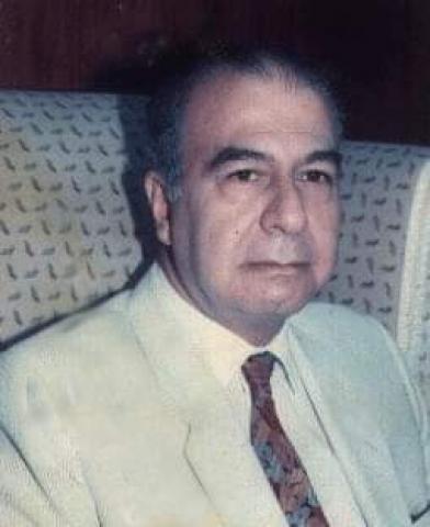  محافظة القليوبية السابق