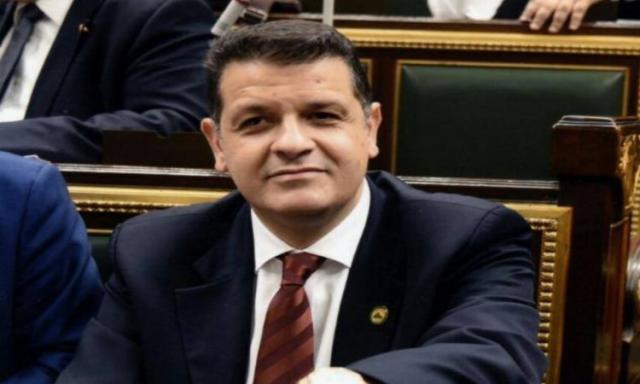 النائب طارق رضوان