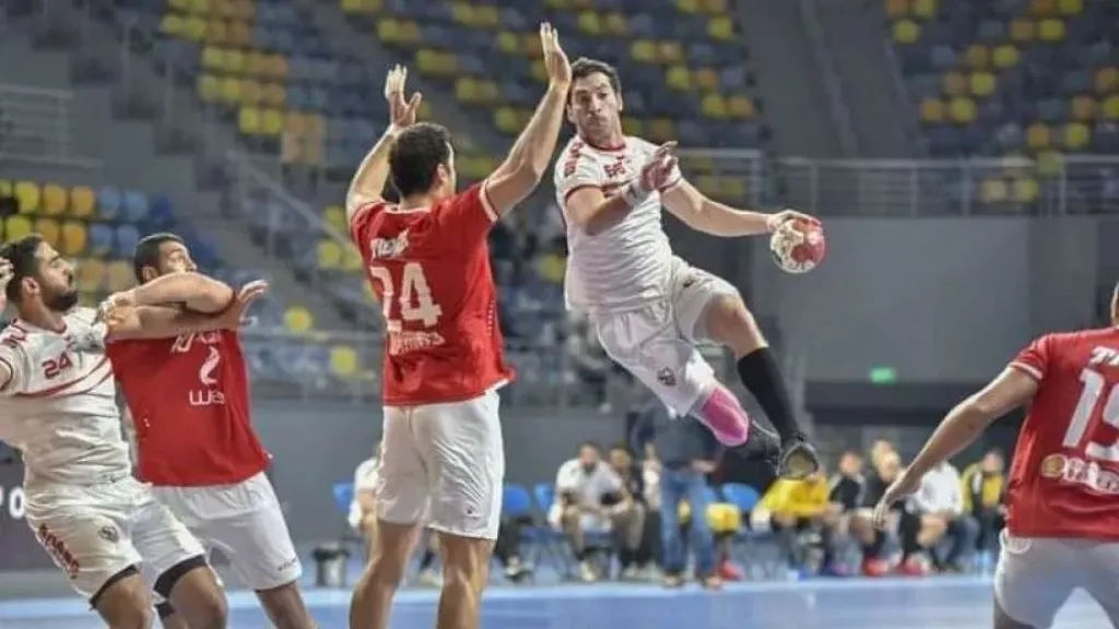 دورى محترفي اليد