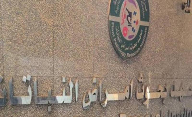معهد بحوث أمراض النباتات