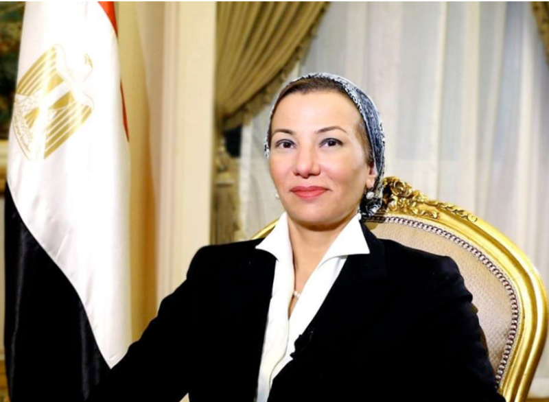 وزيره البيئه