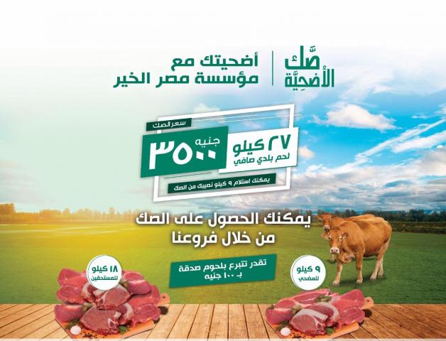 مؤسسة مصر الخير