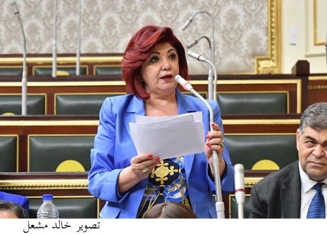 النائبة نورا على