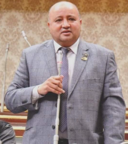 النائب مجدى الأمير