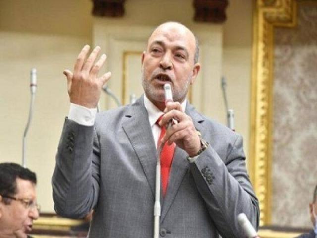 النائب حسن المير 