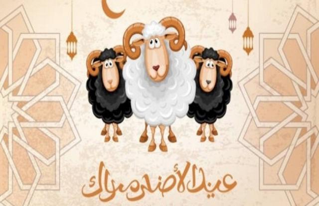 عيد الاضحي - ارشيفيه 