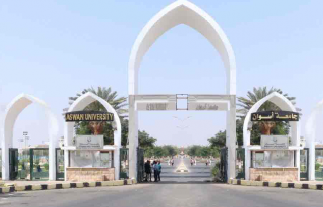 جامعة أسوان