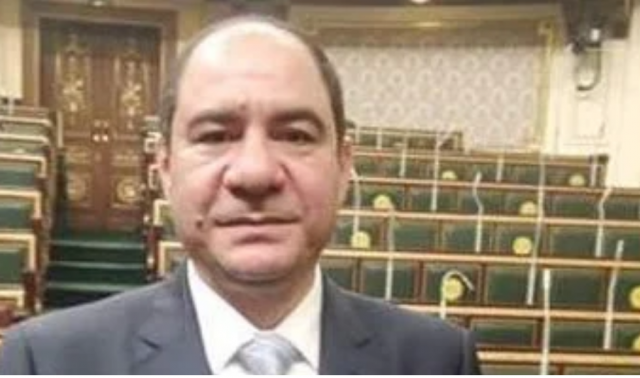  النائب إيهاب أنيس