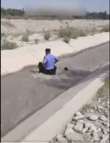الضابط اثناء محاولة لانقاذ الغنم