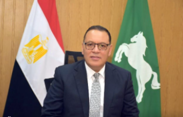 محافظ الشرقية