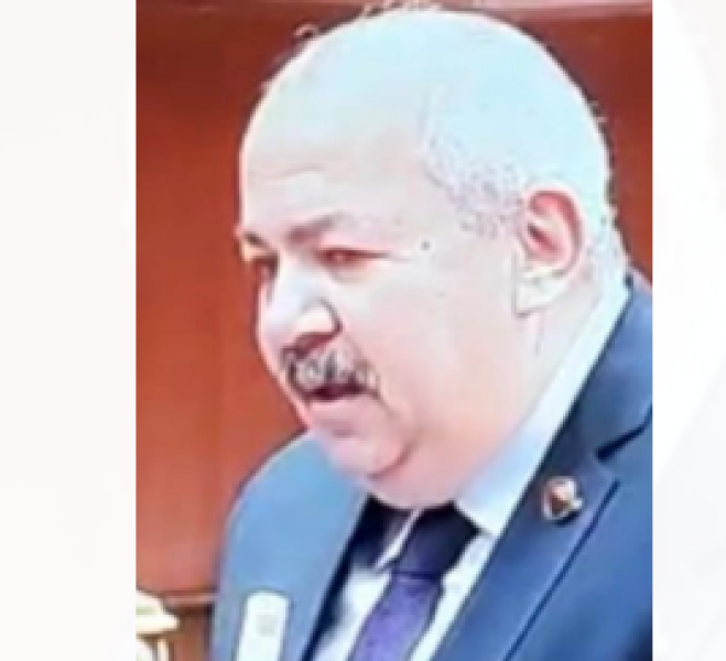 النائب عمرو أبو السعود