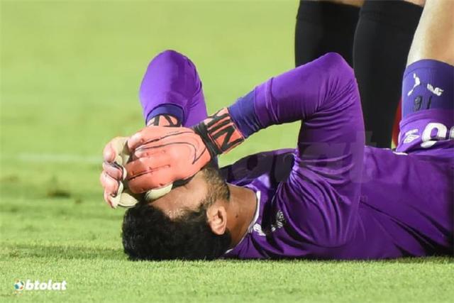 محمد الشناوى 