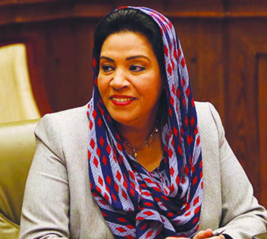 النائبه نشوى الديب