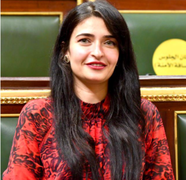 النائبة إيرين سعيد 