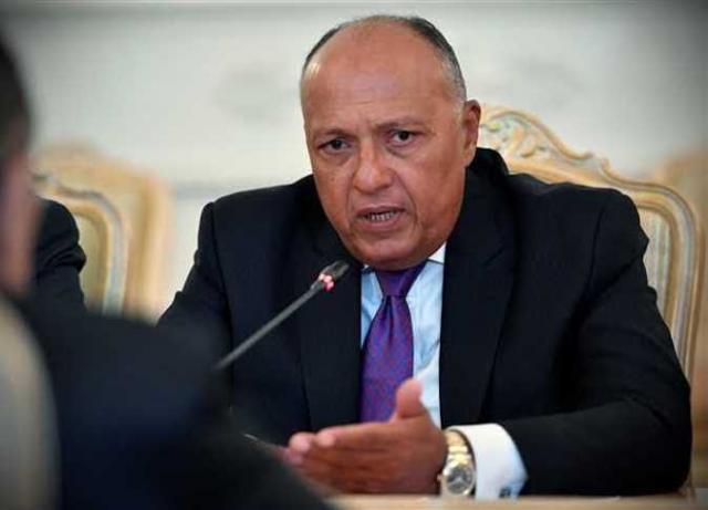 وزير الخارجية سامح شكرى