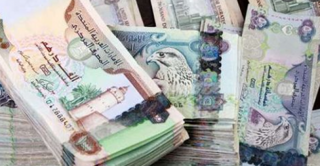 الدرهم الاماراتي 