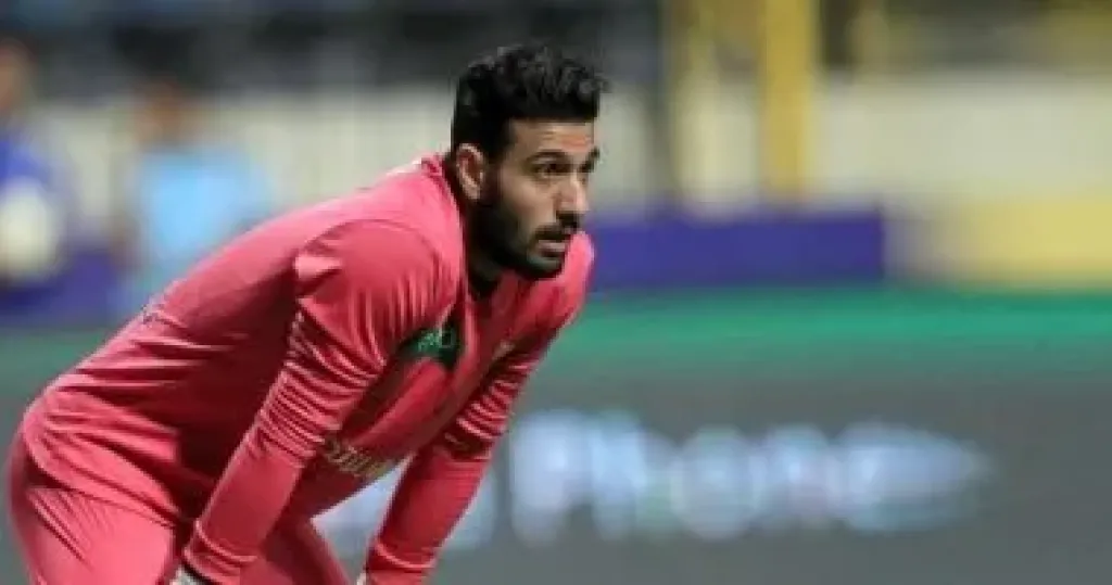 أحمد الشناوى