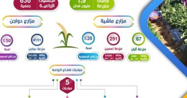 إنفوجراف