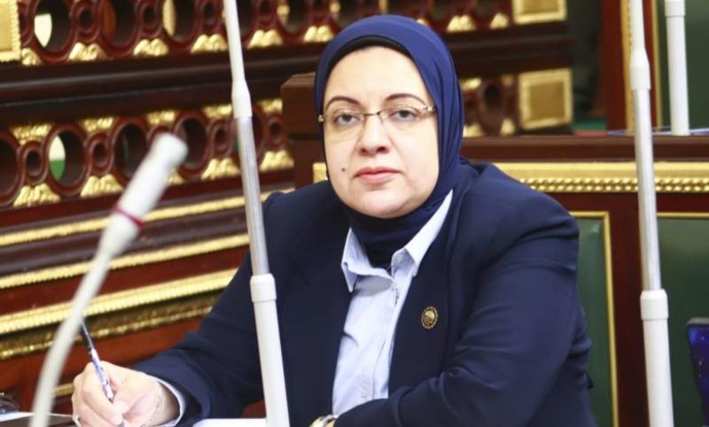 النائبة ريهام عبد النبي 