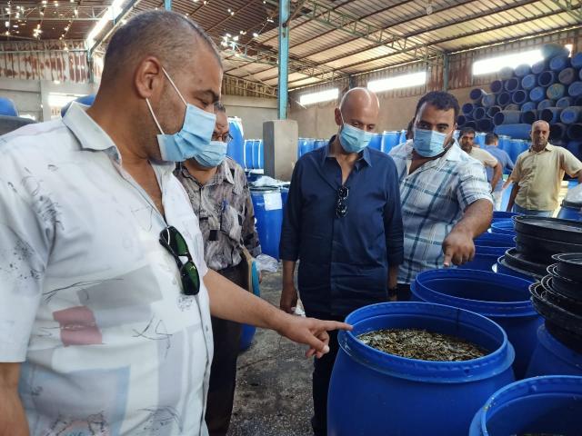 الدكتور هشام شوقي مسعود وكيل وزارة الصحة بالشرقية