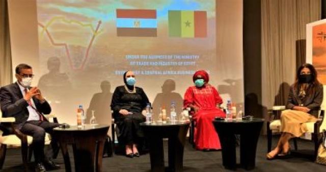 زيارات وزيرة الصناعة إلى أفريقيا