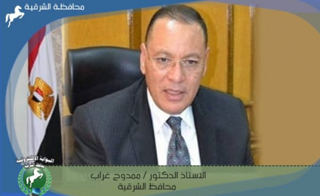 محافظ الشرقية 