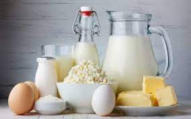 أسعار الألبان