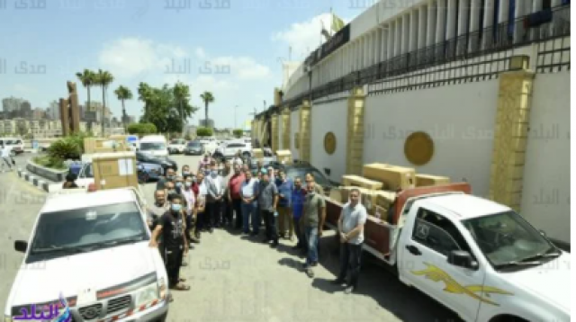 مستشفيات الدقهليه