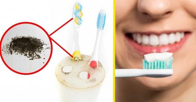 استخدام فرشاة الإنسان