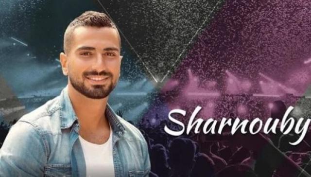   محمد الشرنوبى