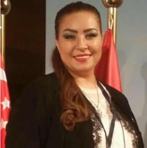النائبة غادة عجمي