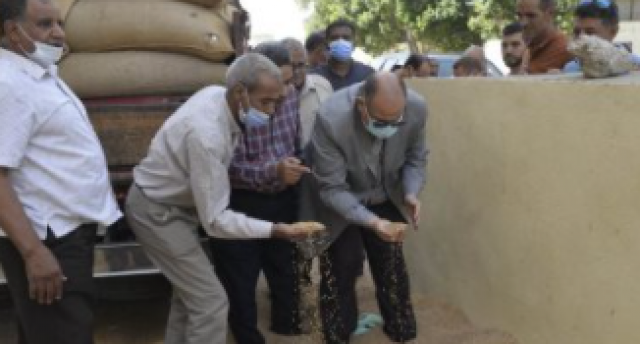 محافظ أسيوط يتفقد القمح المورد