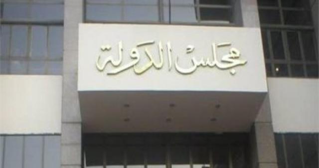 مجلس الدولة 
