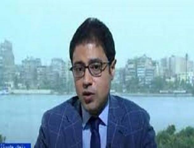 الدكتور محمد رشدي، الخبير الاقتصادي