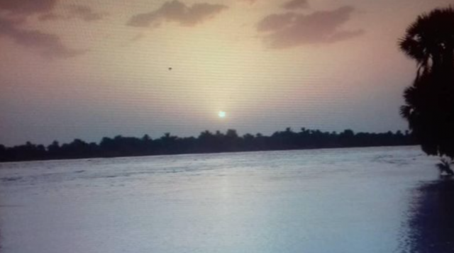 منسوب نهر النيل