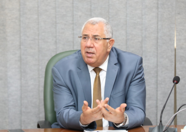 السيد القصير