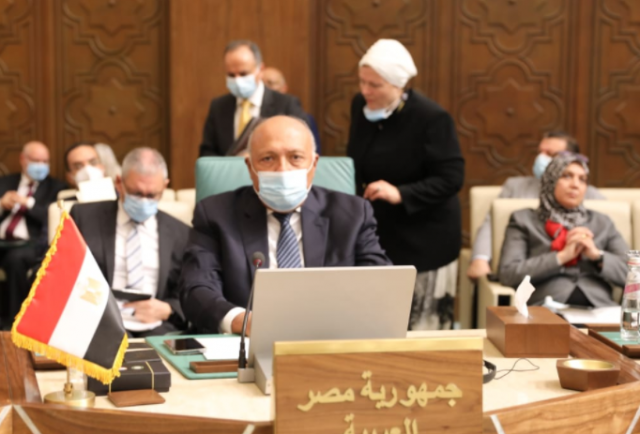 سامح شكري وزير الخارجية