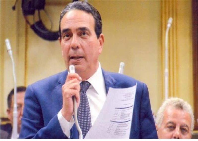 النائب ايمن أبو العلا عضو مجلس النواب