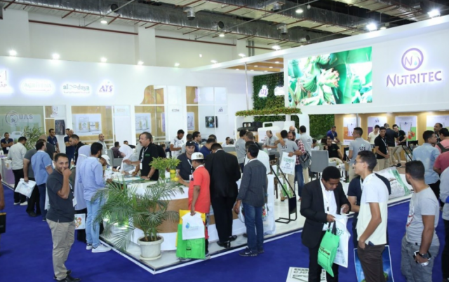 افتتاح معرض صحارى