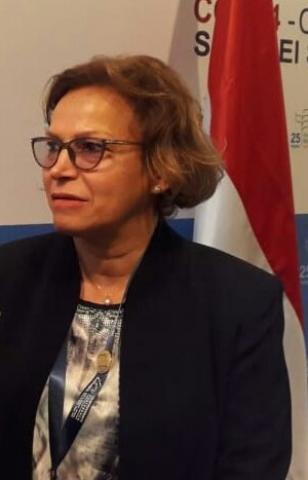 راندا ابو الحسن 