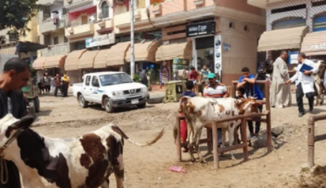 قافلة بيطرية بقرية قرانشو لخدمة المربيين