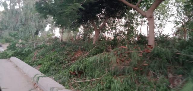  جسر نهر النيل