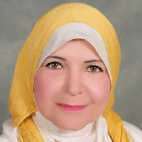 المهندسة إيمان المرسي