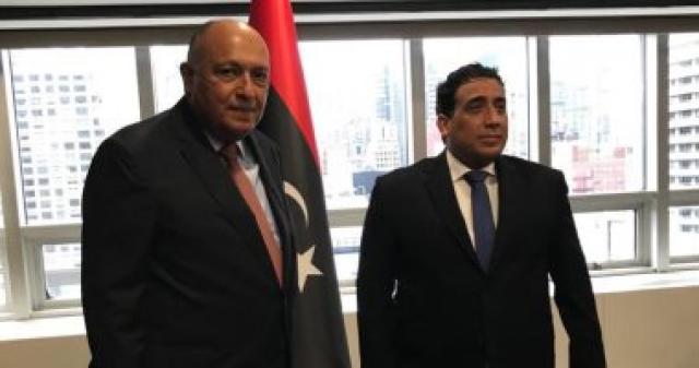 وزير الخارجية سامح شكرى يلتقى الدكتور محمد المنفى