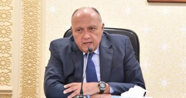 وزير الخارجية سامح شكرى